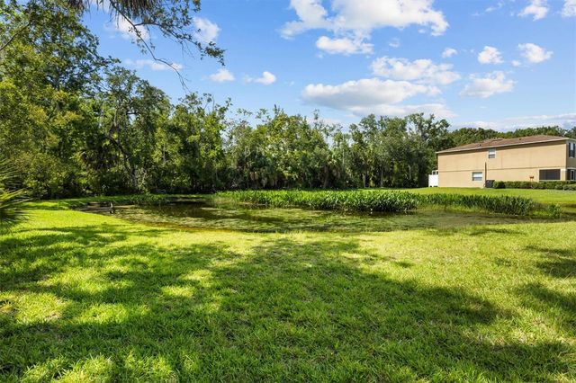 4143 WINDING RIVER WAY, Land O Lakes, FL 34639