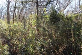 275 W 22nd Street, Fayetteville, AR 72701