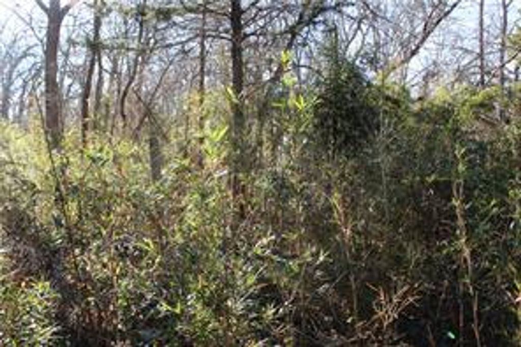 275 W 22nd Street, Fayetteville, AR 72701