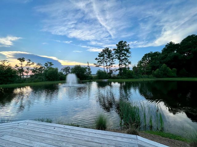 249 Rowans Creek Drive, Charleston, SC 29492