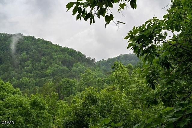 1044 Black Bear Cub Way, Sevierville, TN 37862