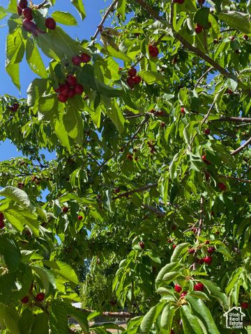 191 N ASH CREEK DR, Toquerville, UT 84774