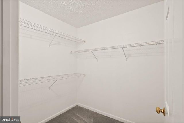 169 APPLEGATE DR, Sterling, VA 20164
