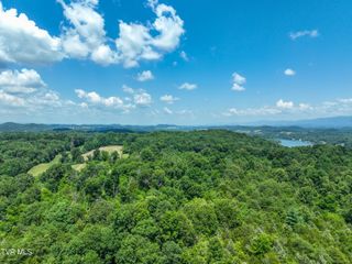 133 Acres Devault Bridge Road, Piney Flats, TN 37686