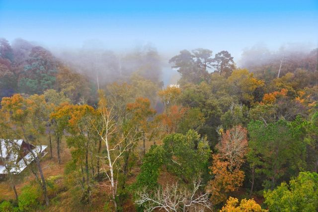 00 Redbud Ridge, Onalaska, TX 77360