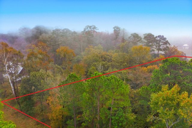 00 Redbud Ridge, Onalaska, TX 77360