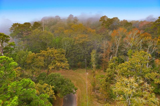 00 Redbud Ridge, Onalaska, TX 77360