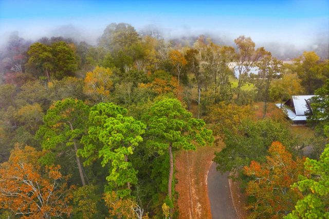 00 Redbud Ridge, Onalaska, TX 77360