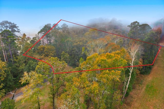 00 Redbud Ridge, Onalaska, TX 77360