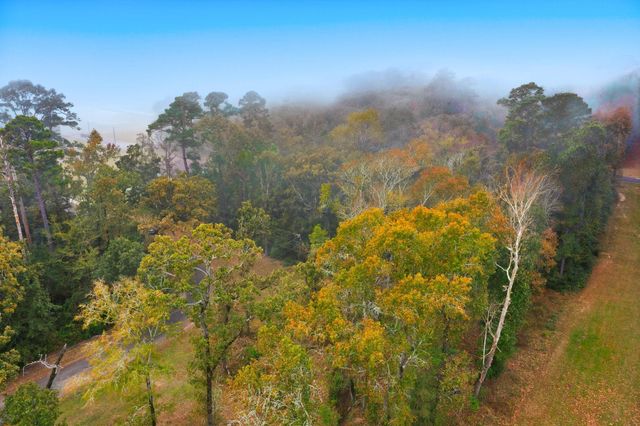 00 Redbud Ridge, Onalaska, TX 77360