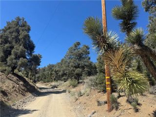 41112 Jack Rabbit, Pinon Hills, CA 92372