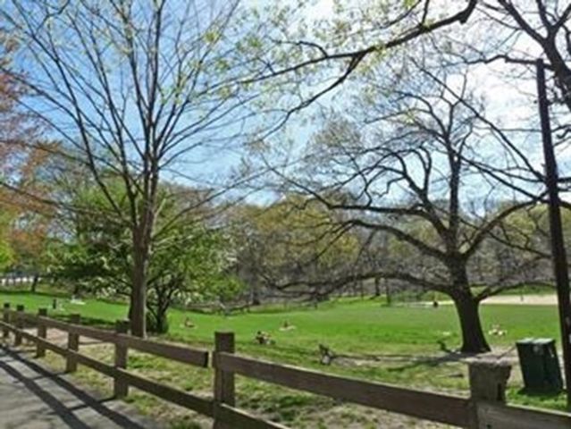 1731 Beacon 521, Brookline, MA 02445