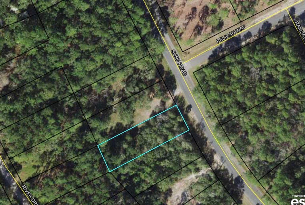 xx Surf Road, Panacea, FL 32346