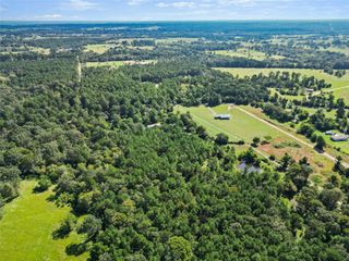 TBD Rogers Road, New Waverly, TX 77358