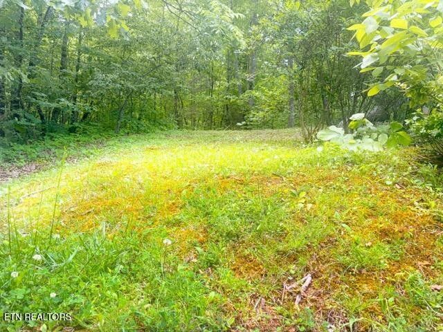 0 Paradise Ridge Drive, Sevierville, TN 37862