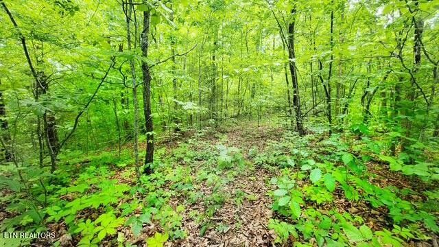 0 Paradise Ridge Drive, Sevierville, TN 37862