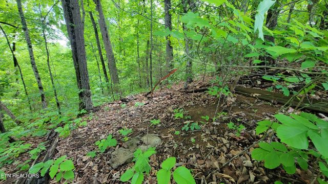 0 Paradise Ridge Drive, Sevierville, TN 37862