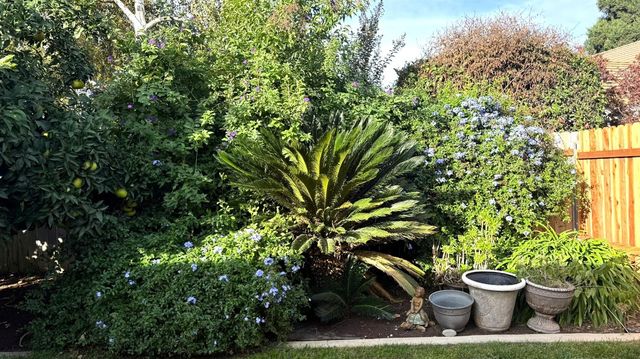 2024 Cartagena Dr, Yuba City, CA 95993