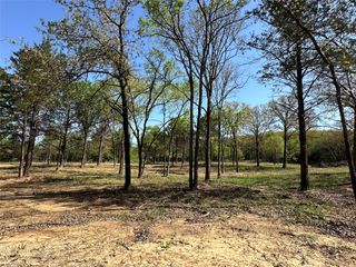 TBD Lot 3 Cr-147, Gainesville, TX 76240