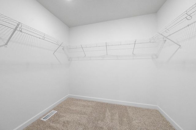22362 Isla Way, Rogers, MN 55374