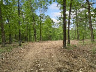 TBD Morgan Cave Road, Harrison, AR 72601