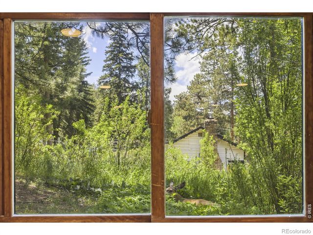 26360 Mowbray Court, Kittredge, CO 80457