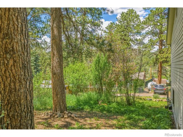 26360 Mowbray Court, Kittredge, CO 80457