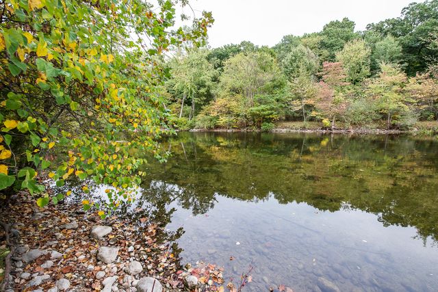 8044 Dexter-Pinckney Road, Dexter Twp, MI 48130