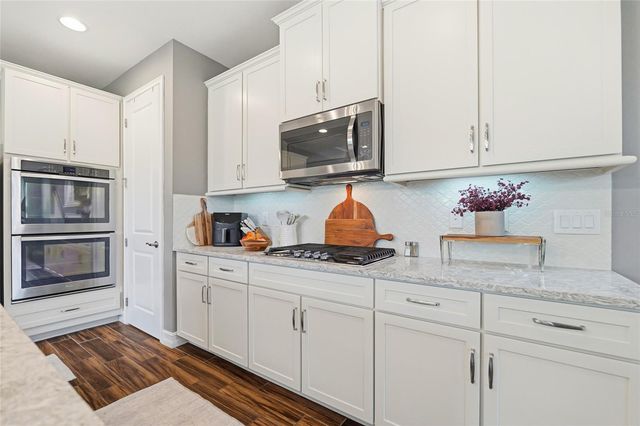 28953 TREVI PLACE, Wesley Chapel, FL 33543
