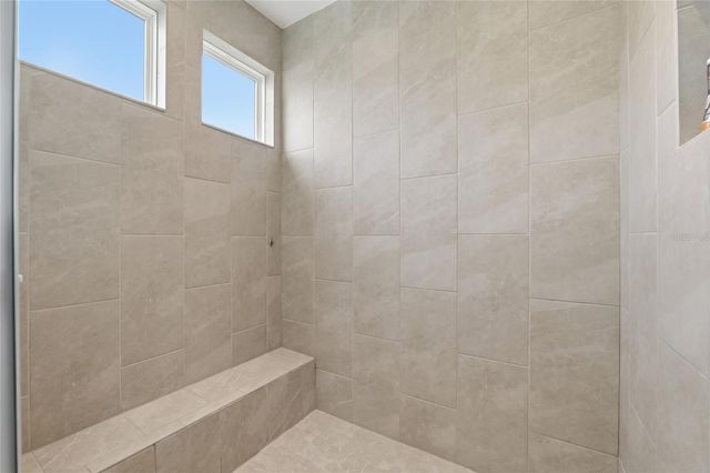 28953 TREVI PLACE, Wesley Chapel, FL 33543