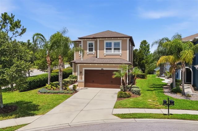 28953 TREVI PLACE, Wesley Chapel, FL 33543