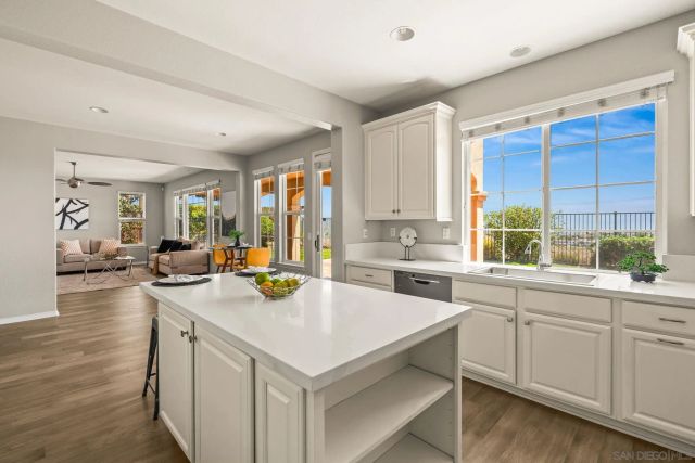 983 Wild Iris Court, San Marcos, CA 92078