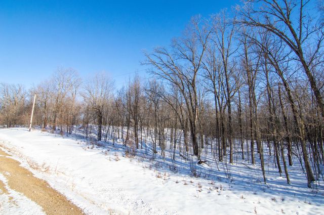 54272 310th Street, Deer Creek, MN 56527