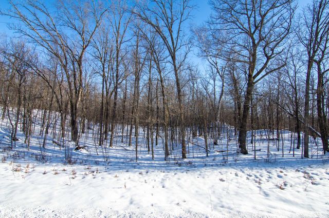 54272 310th Street, Deer Creek, MN 56527