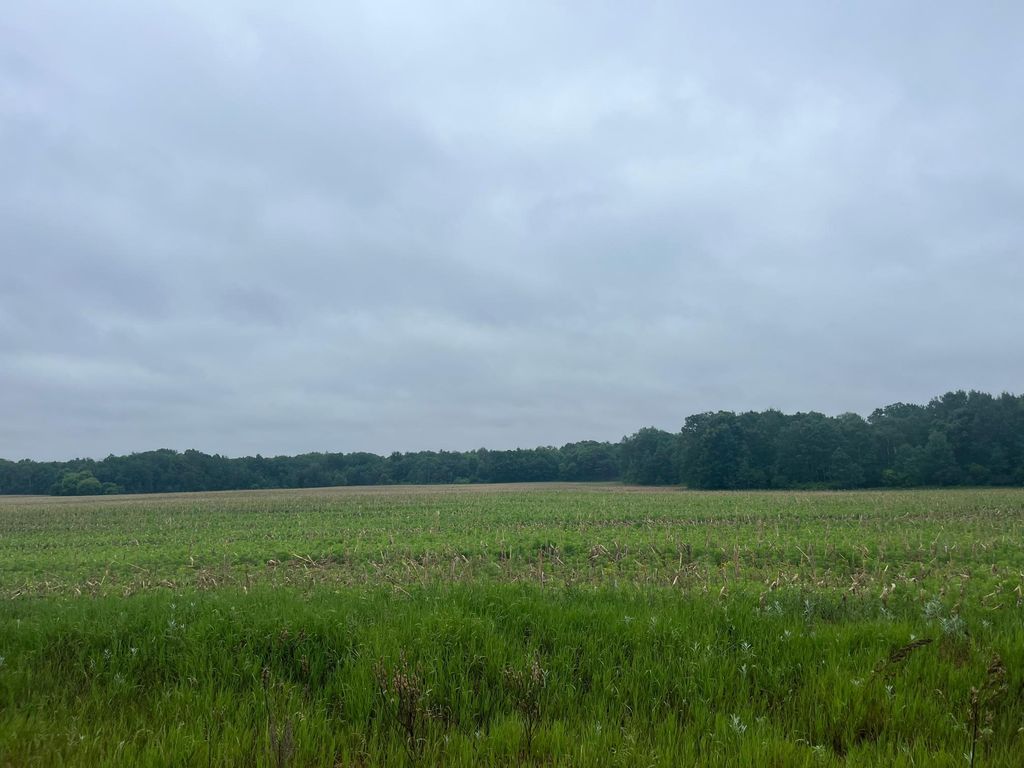 TBD (Lot 3) Hemingway Avenue, North Branch, MN 55056 — exterior