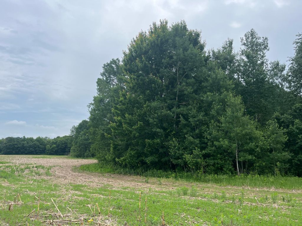TBD (Lot 3) Hemingway Avenue, North Branch, MN 55056 — photo 2