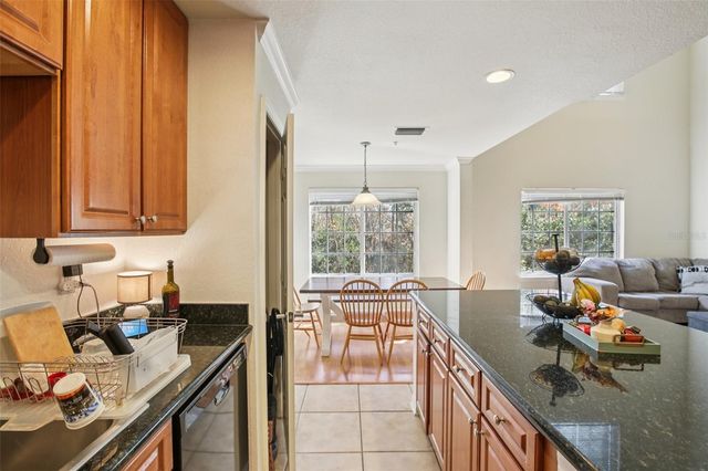 9872 MEADOW FIELD CIRCLE 503, Tampa, FL 33626