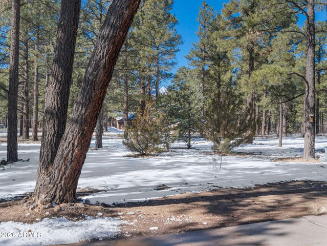 7950 KOCH FIELD Road, Flagstaff, AZ 86004