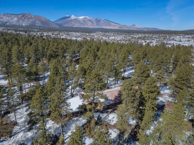 7950 KOCH FIELD Road, Flagstaff, AZ 86004