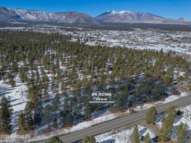 7950 KOCH FIELD Road, Flagstaff, AZ 86004