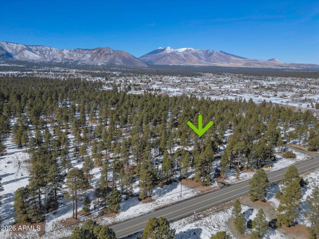 7950 KOCH FIELD Road, Flagstaff, AZ 86004