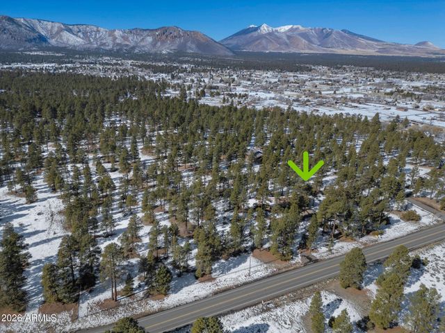 7950 KOCH FIELD Road, Flagstaff, AZ 86004