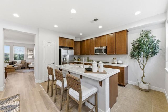 486 Wild Cherry Terrace, Sunnyvale, CA 94086