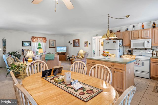 458 WOODSIDE RD, Millsboro, DE 19966