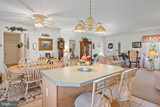458 WOODSIDE RD, Millsboro, DE 19966