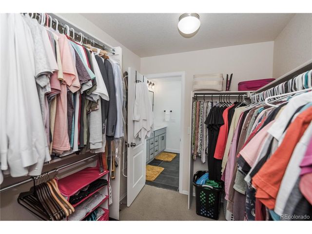 15248 Yellowthroat St, Parker, CO 80134