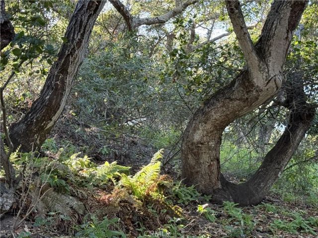 625 W Ormonde, San Luis Obispo, CA 93401