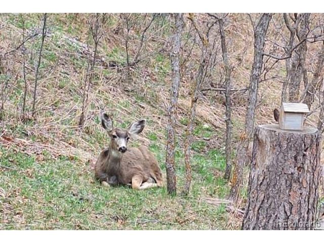 9088 S Murphy Gulch Rd, Littleton, CO 80127