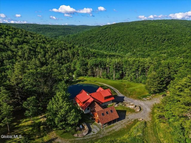 165 Vaughn Hill Road, Broome, NY 12122