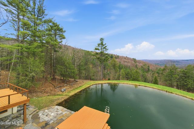 165 Vaughn Hill Road, Broome, NY 12122